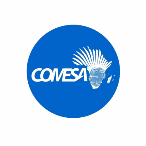 Texte Odoo et bloc d'image